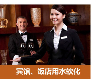 8噸/小時(shí)軟化水設(shè)備